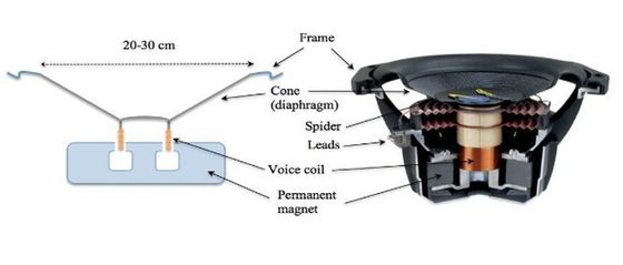Professional Ferrite of Permanent Y35 Y40 Ring Ferrite Magnet for Speakers No Coating