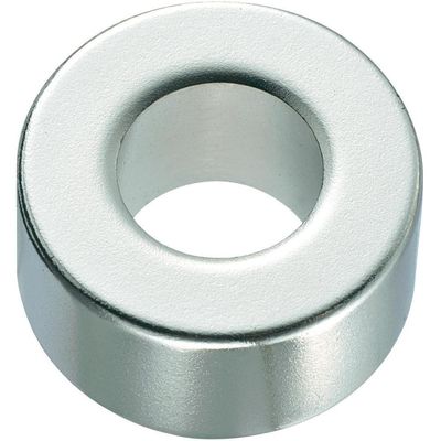 Sample Large Radial Magnetization Ring Neodymium Magnet N35-N52 for Industrial Magnet