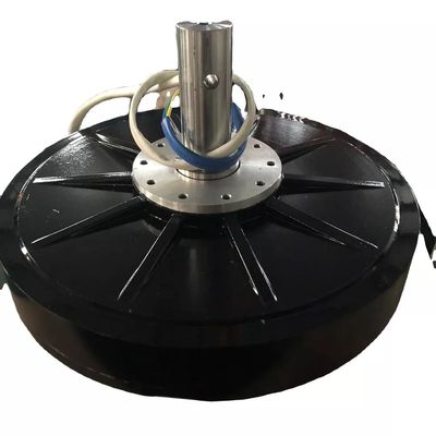 Custom Output Voltage 3kw 220v Vertical Axial Wind Turbine Generator for Sales