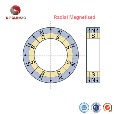 Gold Coated Neodymium Radial Magnetized Big Ring Magnet for in Industrial Applications
