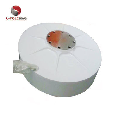 Rare Earth Magnet for Customized AFPMG520-1.0KW/90RPM Inner Rotor Wind Generator