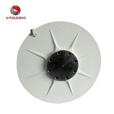 Rare Earth Magnet for Customized AFPMG520-1.0KW/90RPM Inner Rotor Wind Generator
