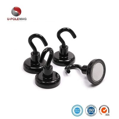 Neodymium Magnet Decorative Pot Magnet with Hook D10mm-75mm and Powerful Magnetic Hook