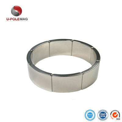 Neodymium Halbach Array Arc Magnet for Motor Processing and Permanent Moulding Service