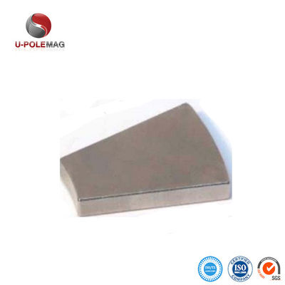 Ni-Cu-Ni Coated N42 Sectored Neodymium Magnet for Professional Permanent Magnet Motor