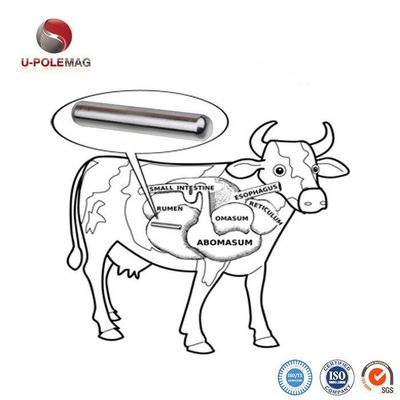 Increase Cattle Production with 72.5g AlNiCo 5 Composite Cow Magnet Pill