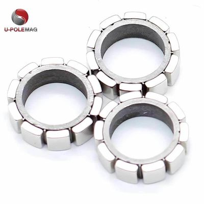 Customized Axial Flux Neodymium Permanent Magnet Rotor for Generator