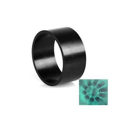 Great Strength Multi Poles Ring Neodymium Magnet with Epoxy Resin Coating Motor Rotor